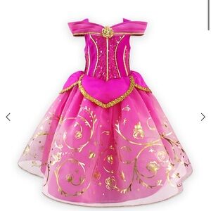 Disney Deluxe Princess Aurora Dress